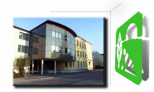 Hauptschule Ober-Grafendorf